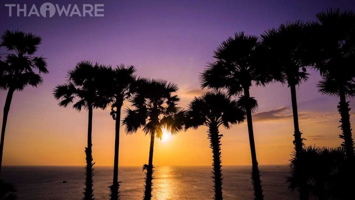 Thaiware Outing 2017 สานสัมพันธ์พนักงาน เที่ยวเกาะภูเก็ต ล่องเรือยอร์ชหรู ดำน้ำชมท้องทะเล