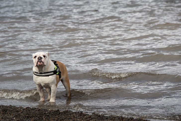 ชมภาพจากเลนส์ Tamron SP 70-200mm F2.8 รุ่นที่ 2 