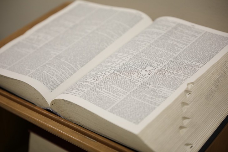 ชมภาพจากเลนส์ Tamron SP 70-200mm F2.8 รุ่นที่ 2 