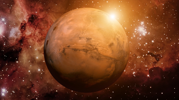 ดีใจจนน้ำตาไหล เมื่อ ไส้เดือน สามารถให้กำเนิดทายาทได้ในดินของ ดาวอังคาร