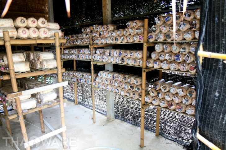 Thaiware จัดกิจกรรม CSR ประจำปี 2018 กับน้องๆ นักเรียน โรงเรียนบ้านคอวัง จังหวัดนครปฐม Thaiware จัดกิจกรรม CSR ประจำปี 2018 กับน้องๆ นักเรียน โรงเรียนบ้านคอวัง จังหวัดนครปฐม