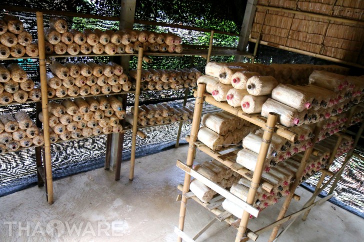 Thaiware จัดกิจกรรม CSR ประจำปี 2018 กับน้องๆ นักเรียน โรงเรียนบ้านคอวัง จังหวัดนครปฐม Thaiware จัดกิจกรรม CSR ประจำปี 2018 กับน้องๆ นักเรียน โรงเรียนบ้านคอวัง จังหวัดนครปฐม