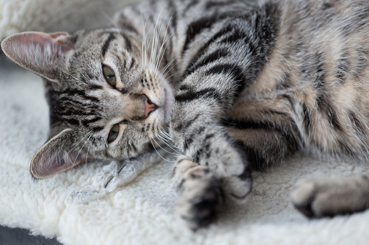 มาดูภาพถ่าย Portrait จากเลนส์ Leica ตัวละ 4 แสนบาทกันนะ