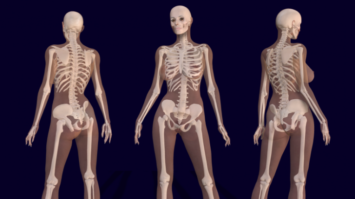 ข่าวใหญ่ นักวิทยาศาสตร์ค้นพบอวัยวะใหม่ในร่างกายมนุษย์!!!