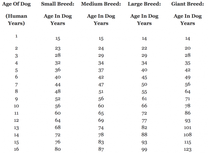 เข้าใจเสียใหม่ สุนัขแก่เร็วตายเร็วกว่าเราก็จริง แต่มันไม่ได้แก่เร็วเป็น 7 เท่าของมนุษย์แต่อย่างใด