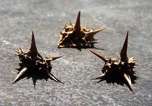 ไม่ต้องเติมลม หมดปัญหายางรั่ว ด้วยล้อจักรยานแบบใหม่ที่สร้างด้วยเครื่องพิมพ์สามมิติ ไม่ต้องเติมลม หมดปัญหายางรั่ว ด้วยล้อจักรยานแบบใหม่ที่สร้างด้วยเครื่องพิมพ์สามมิติ