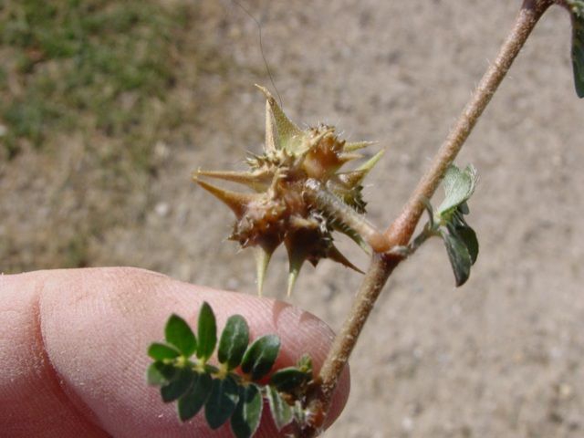 ไม่ต้องเติมลม หมดปัญหายางรั่ว ด้วยล้อจักรยานแบบใหม่ที่สร้างด้วยเครื่องพิมพ์สามมิติ