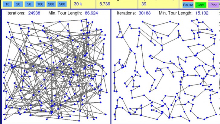 อะมีบา สัตว์เซลล์เดียว พบวิธีการแก้ปัญหาที่ฉลาดกว่าระบบคอมพิวเตอร์ของมนุษย์ซะอีก