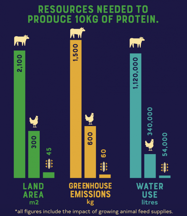 สตาร์ทอัพหัวใส ปิ๊งไอเดียเอา หนอน มาทำเป็นอาหารน้องหมา แก้ปัญหาสิ่งแวดล้อมได้มากอยู่
