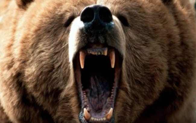 เซลฟี่ผิดชีวิตเปลี่ยน! รวม 20 เหตุการณ์ที่ทำให้ผู้คนต้องเสียชีวิตจากการเซลฟี่ เซลฟี่ผิดชีวิตเปลี่ยน! รวม 20 เหตุการณ์ที่ทำให้ผู้คนต้องเสียชีวิตจากการเซลฟี่