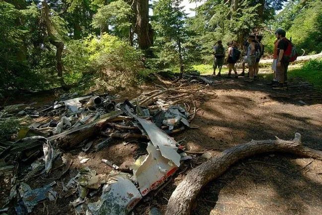 เซลฟี่ผิดชีวิตเปลี่ยน! รวม 20 เหตุการณ์ที่ทำให้ผู้คนต้องเสียชีวิตจากการเซลฟี่ เซลฟี่ผิดชีวิตเปลี่ยน! รวม 20 เหตุการณ์ที่ทำให้ผู้คนต้องเสียชีวิตจากการเซลฟี่