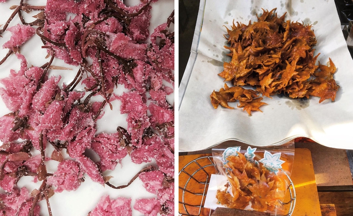 24 สิ่งประดิษฐ์จากญี่ปุ่น ที่สามารถเปลี่ยนคุณภาพชีวิตของเราได้