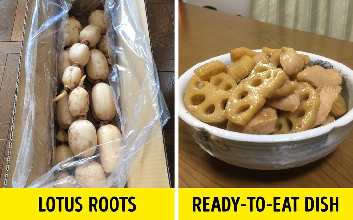 24 สิ่งประดิษฐ์จากญี่ปุ่น ที่สามารถเปลี่ยนคุณภาพชีวิตของเราได้