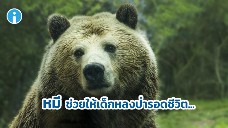 เมาคลี อาจจะเป็นเรื่องจริง! เมื่อเด็กอ้างว่ารอดชีวิตจากการหลงป่า 3 วัน โดยมีหมีเป็นเพื่อน