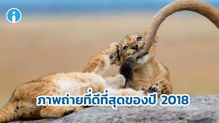 National Geographic ได้เลือกภาพถ่ายที่ดีที่สุดในปี 2018 มาให้รับชมกัน