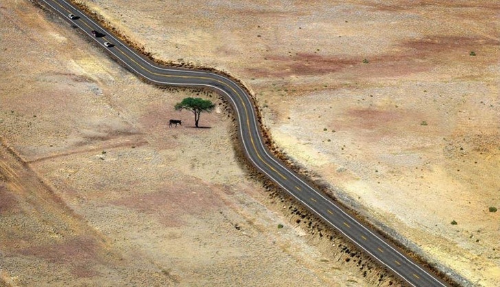 20 ภาพอันทรงพลัง ที่ทำให้เรารู้ว่า ยังไม่ควรสิ้นหวังในการอนุรักษ์ธรรมชาติ 20 ภาพอันทรงพลัง ที่ทำให้เรารู้ว่า ยังไม่ควรสิ้นหวังในการอนุรักษ์ธรรมชาติ