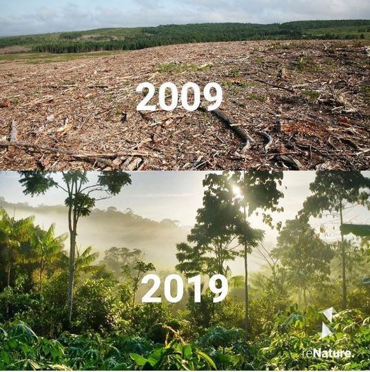 20 ภาพอันทรงพลัง ที่ทำให้เรารู้ว่า ยังไม่ควรสิ้นหวังในการอนุรักษ์ธรรมชาติ 20 ภาพอันทรงพลัง ที่ทำให้เรารู้ว่า ยังไม่ควรสิ้นหวังในการอนุรักษ์ธรรมชาติ