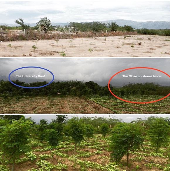 20 ภาพอันทรงพลัง ที่ทำให้เรารู้ว่า ยังไม่ควรสิ้นหวังในการอนุรักษ์ธรรมชาติ 20 ภาพอันทรงพลัง ที่ทำให้เรารู้ว่า ยังไม่ควรสิ้นหวังในการอนุรักษ์ธรรมชาติ