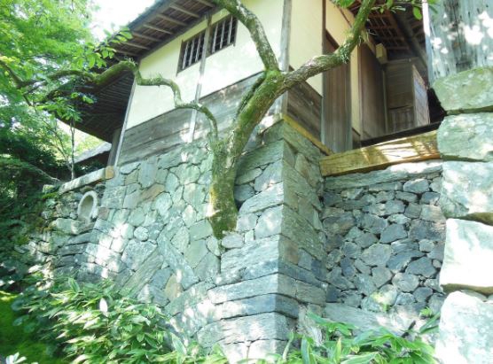 20 ภาพอันทรงพลัง ที่ทำให้เรารู้ว่า ยังไม่ควรสิ้นหวังในการอนุรักษ์ธรรมชาติ 20 ภาพอันทรงพลัง ที่ทำให้เรารู้ว่า ยังไม่ควรสิ้นหวังในการอนุรักษ์ธรรมชาติ