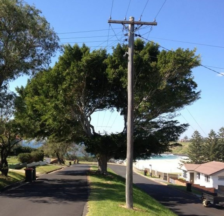 20 ภาพอันทรงพลัง ที่ทำให้เรารู้ว่า ยังไม่ควรสิ้นหวังในการอนุรักษ์ธรรมชาติ 20 ภาพอันทรงพลัง ที่ทำให้เรารู้ว่า ยังไม่ควรสิ้นหวังในการอนุรักษ์ธรรมชาติ