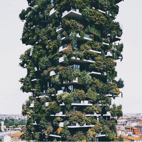 20 ภาพอันทรงพลัง ที่ทำให้เรารู้ว่า ยังไม่ควรสิ้นหวังในการอนุรักษ์ธรรมชาติ 20 ภาพอันทรงพลัง ที่ทำให้เรารู้ว่า ยังไม่ควรสิ้นหวังในการอนุรักษ์ธรรมชาติ