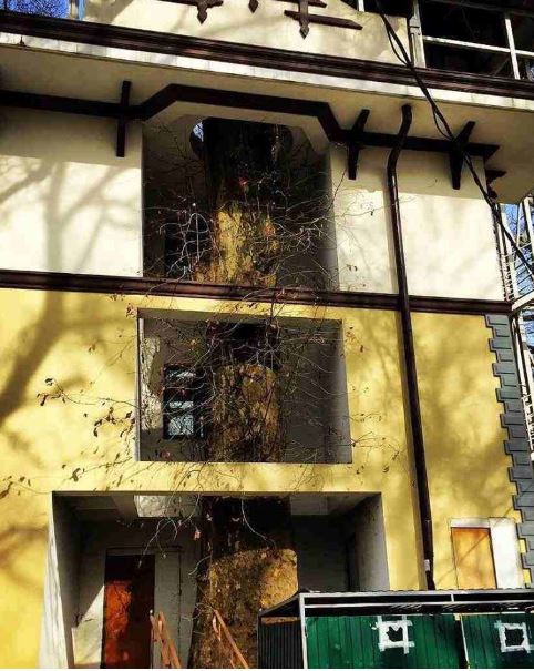 20 ภาพอันทรงพลัง ที่ทำให้เรารู้ว่า ยังไม่ควรสิ้นหวังในการอนุรักษ์ธรรมชาติ 20 ภาพอันทรงพลัง ที่ทำให้เรารู้ว่า ยังไม่ควรสิ้นหวังในการอนุรักษ์ธรรมชาติ