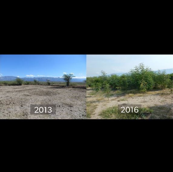 20 ภาพอันทรงพลัง ที่ทำให้เรารู้ว่า ยังไม่ควรสิ้นหวังในการอนุรักษ์ธรรมชาติ 20 ภาพอันทรงพลัง ที่ทำให้เรารู้ว่า ยังไม่ควรสิ้นหวังในการอนุรักษ์ธรรมชาติ