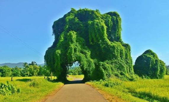 20 ภาพอันทรงพลัง ที่ทำให้เรารู้ว่า ยังไม่ควรสิ้นหวังในการอนุรักษ์ธรรมชาติ 20 ภาพอันทรงพลัง ที่ทำให้เรารู้ว่า ยังไม่ควรสิ้นหวังในการอนุรักษ์ธรรมชาติ