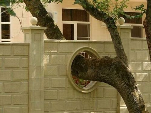 20 ภาพอันทรงพลัง ที่ทำให้เรารู้ว่า ยังไม่ควรสิ้นหวังในการอนุรักษ์ธรรมชาติ 20 ภาพอันทรงพลัง ที่ทำให้เรารู้ว่า ยังไม่ควรสิ้นหวังในการอนุรักษ์ธรรมชาติ