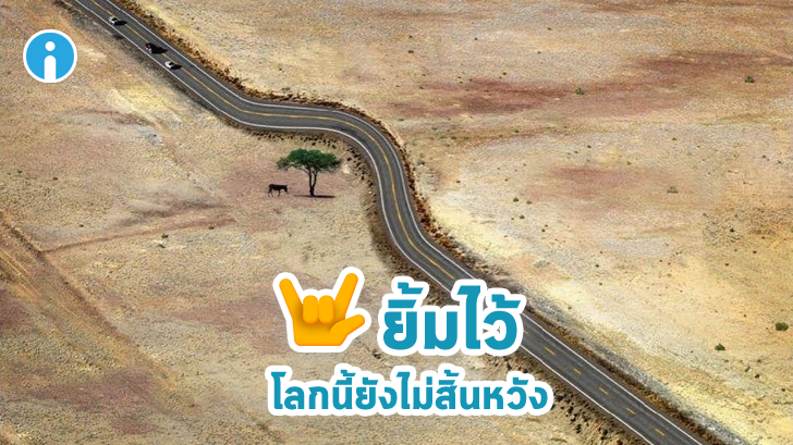 20 ภาพอันทรงพลัง ที่ทำให้เรารู้ว่า ยังไม่ควรสิ้นหวังในการอนุรักษ์ธรรมชาติ