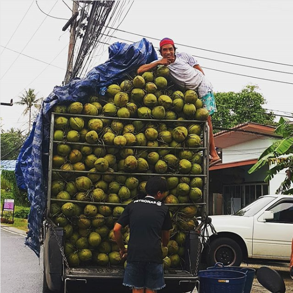 16 สิ่งที่คนไทยมองว่าธรรมดา แต่ต่างชาติทึ่งสุดๆ อาทิ ชาเย็นใส่ถุง ชายหาดที่เต็มไปด้วยลิง