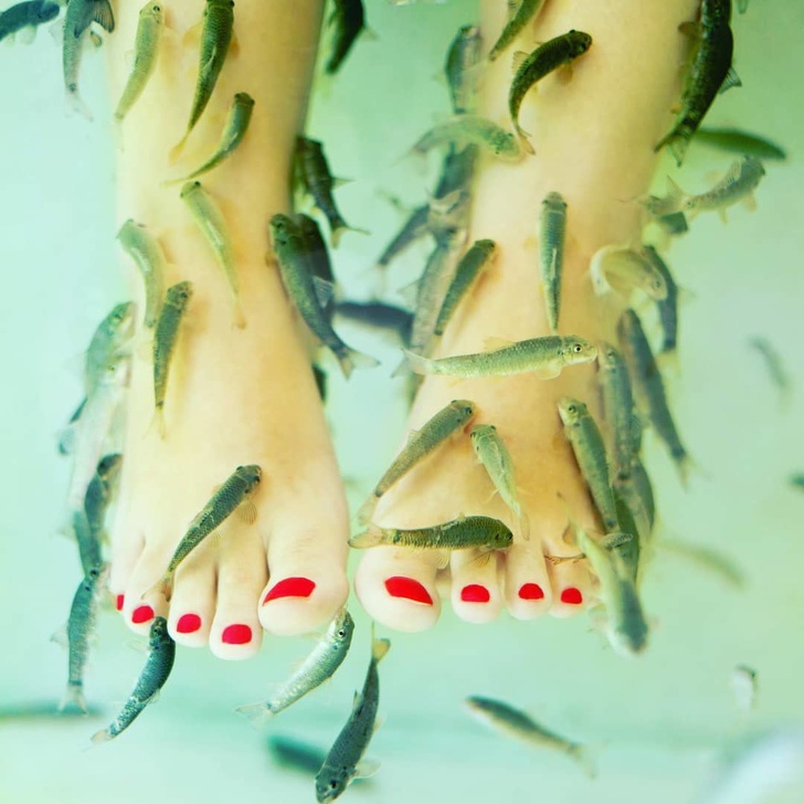 16 สิ่งที่คนไทยมองว่าธรรมดา แต่ต่างชาติทึ่งสุดๆ อาทิ ชาเย็นใส่ถุง ชายหาดที่เต็มไปด้วยลิง