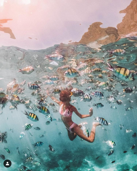 16 สิ่งที่คนไทยมองว่าธรรมดา แต่ต่างชาติทึ่งสุดๆ อาทิ ชาเย็นใส่ถุง ชายหาดที่เต็มไปด้วยลิง