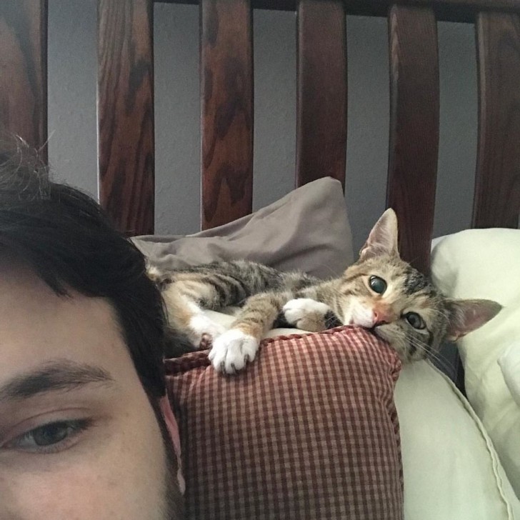 ชายหนุ่มรับเจ้าเหมียวน้อยที่หาบ้านไม่ได้มาเลี้ยง เพราะมันตาเหล่ แต่สำหรับเขามันสมบูรณ์แบบ