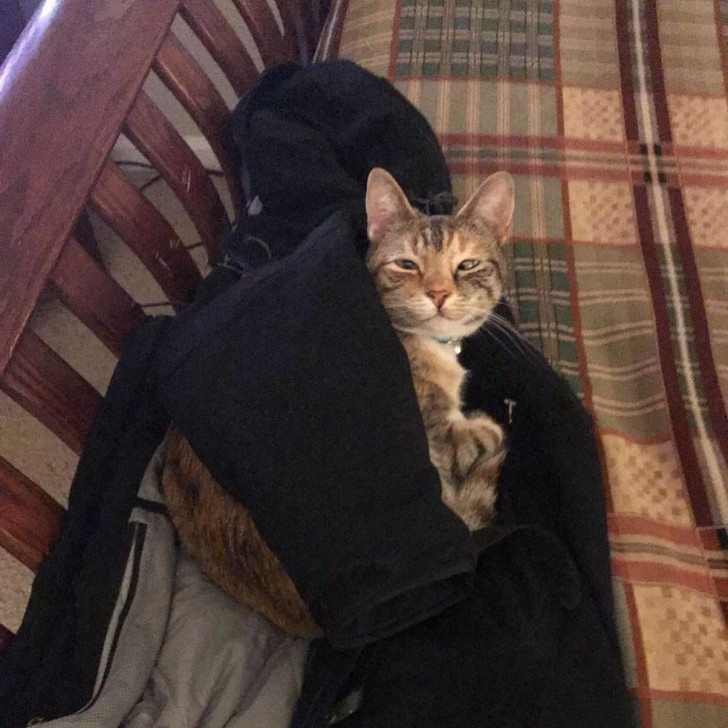 ชายหนุ่มรับเจ้าเหมียวน้อยที่หาบ้านไม่ได้มาเลี้ยง เพราะมันตาเหล่ แต่สำหรับเขามันสมบูรณ์แบบ