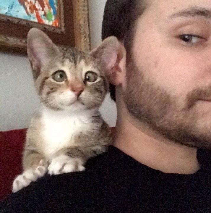 ชายหนุ่มรับเจ้าเหมียวน้อยที่หาบ้านไม่ได้มาเลี้ยง เพราะมันตาเหล่ แต่สำหรับเขามันสมบูรณ์แบบ