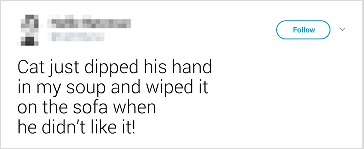 26 ภาพวีรกรรมความป่วนของเจ้าเหมียว ซึ่งบอกได้เลยว่าปวดหัวสุดๆ 