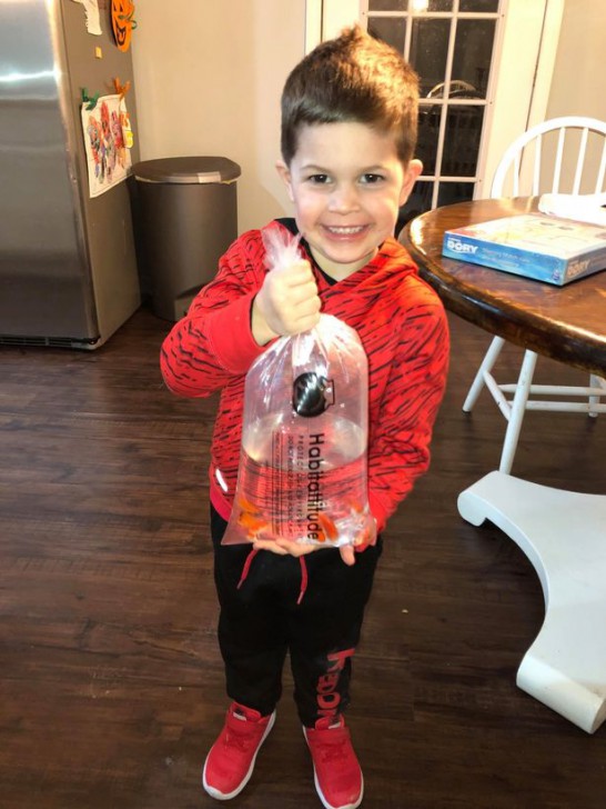 หนุ่มน้อยทำร้ายปลาทองสุดที่รักของตัวเองโดยไม่ได้ตั้งใจ เพียงเพราะว่าเอาปลามานอนกอด