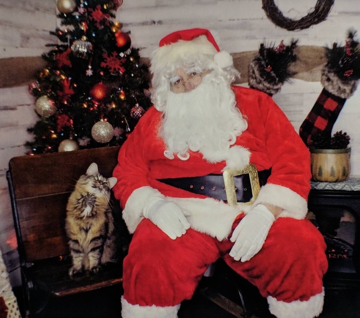 อบอุ่นหัวใจ กับภาพของ 23 สัตว์โลก ที่รู้จักวิธีแสดงความรักต่อผู้อื่น