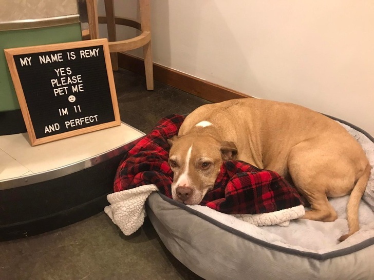 อบอุ่นหัวใจ กับภาพของ 23 สัตว์โลก ที่รู้จักวิธีแสดงความรักต่อผู้อื่น