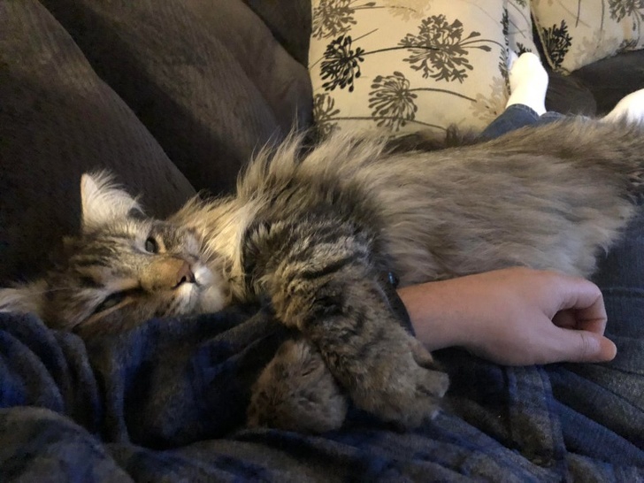 อบอุ่นหัวใจ กับภาพของ 23 สัตว์โลก ที่รู้จักวิธีแสดงความรักต่อผู้อื่น