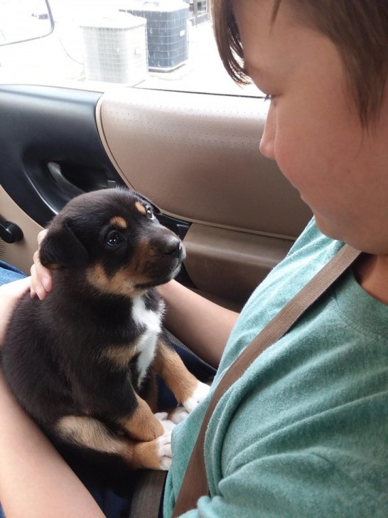 อบอุ่นหัวใจ กับภาพของ 23 สัตว์โลก ที่รู้จักวิธีแสดงความรักต่อผู้อื่น