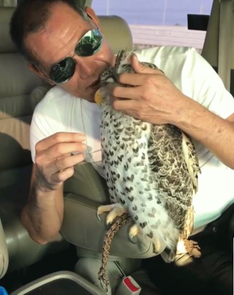 อบอุ่นหัวใจ กับภาพของ 23 สัตว์โลก ที่รู้จักวิธีแสดงความรักต่อผู้อื่น