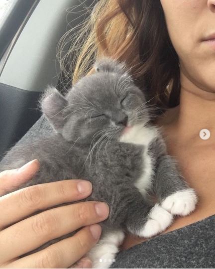 14 ภาพอันแสนจะอบอุ่นที่พิสูจน์ให้เห็นว่า โลกนี้หมุนด้วยความรัก