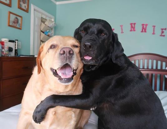 14 ภาพอันแสนจะอบอุ่นที่พิสูจน์ให้เห็นว่า โลกนี้หมุนด้วยความรัก