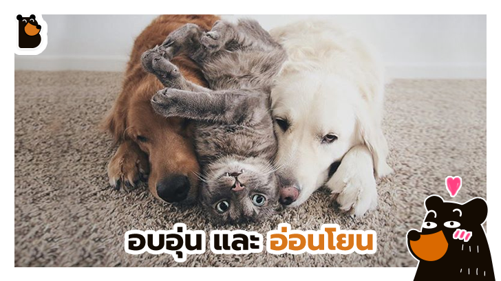 14 ภาพอันแสนจะอบอุ่นที่พิสูจน์ให้เห็นว่า โลกนี้หมุนด้วยความรัก