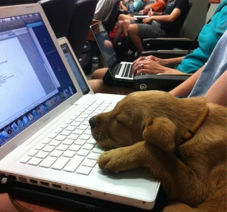 20 ภาพวีรกรรมความเกรียน และความฮาของชีวิตเหล่านักศึกษา