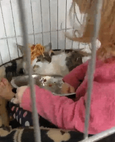 20 ภาพถ่ายแสดงวีรกรรมชีวิตของเด็กๆ ที่เต็มไปด้วยความน่าประหลาดใจเสมอ