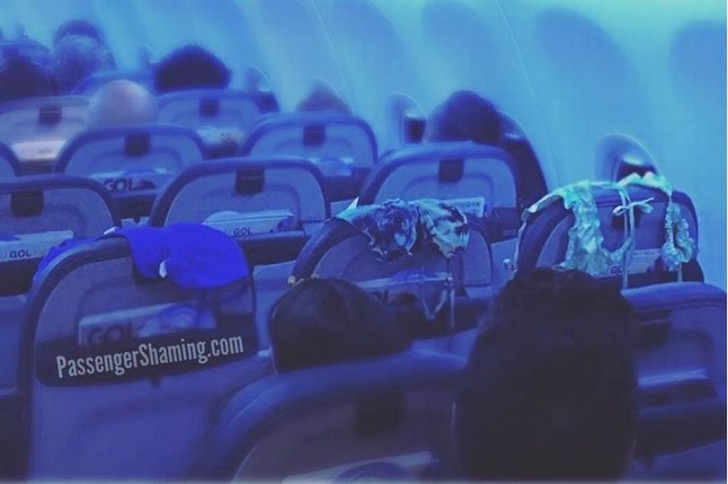 ผู้โดยสารสุดแสบ เปลี่ยนที่นั่งบนเครื่องบิน ให้กลายเป็นที่ตากชุดว่ายน้ำ