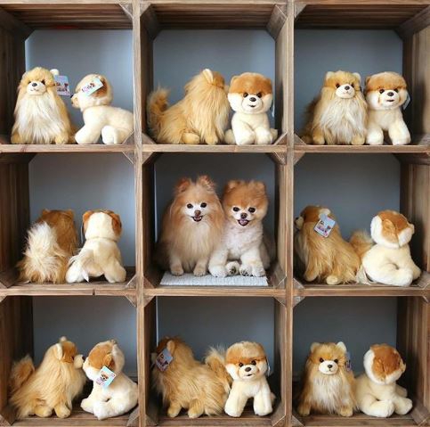 รวม 20 ภาพการพรางตัวของสัตว์ ที่เนียนจนมนุษย์หาไม่เจอ รวม 20 ภาพการพรางตัวของสัตว์ ที่เนียนจนมนุษย์หาไม่เจอ